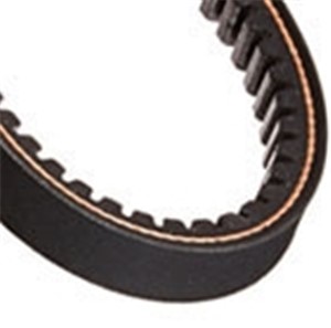 BROWNING GRIPNOTCH V-BELT